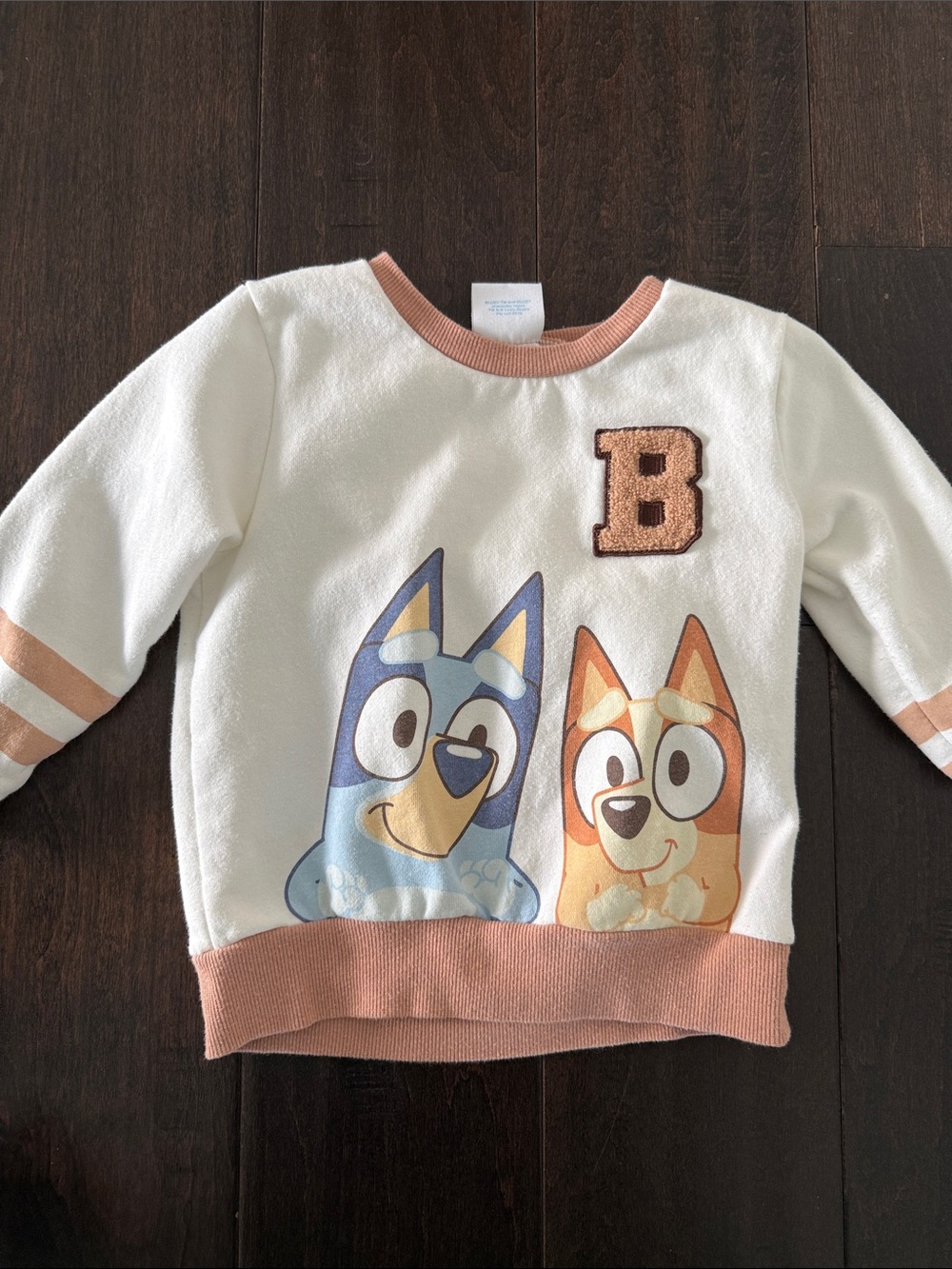 Gender Neutral Bluey and Bingo Cream Kids Bluey Character Sweatshirt